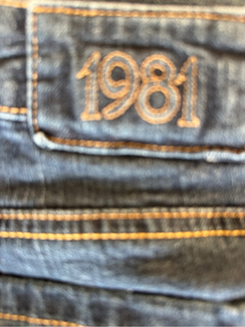 Dark Blue Jeans with 1981 Embroidered Detail no size